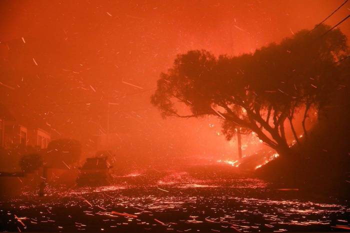 На борьбу с огнем в Калифорнии направили 700 пожарных