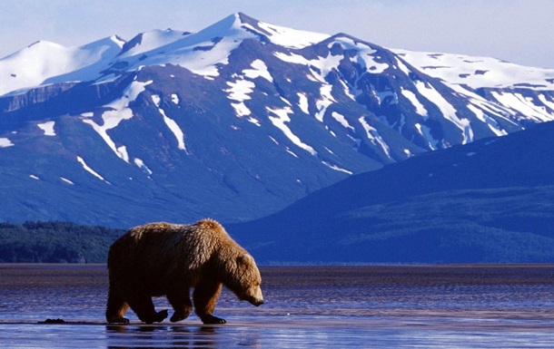 На Аляске нашли крупные запасы нефти - WSJ