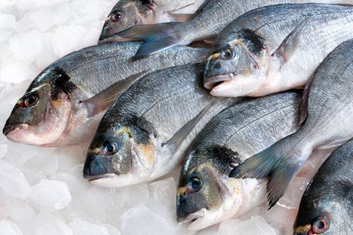 В Азербайджане утверждены квоты на вылов рыбы