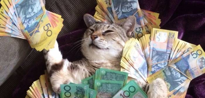 Итальянка завещала €30 тыс. своему коту
