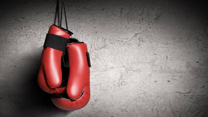 В Швеции могут запретить профессиональный бокс