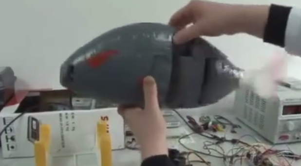 В Турции разработали рыбу-робота