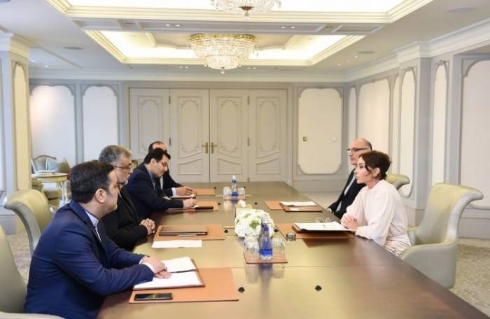 Мехрибан Алиева встретилась с главой Организации культуры и исламских связей Ирана