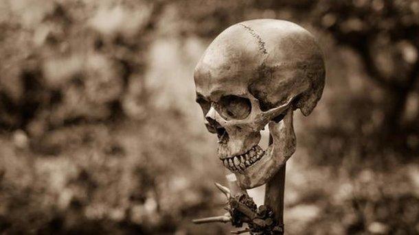 В Швеции нашли человеческие черепа, насаженные на колья