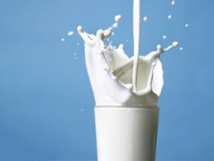 В Азербайджане создана Ассоциация производителей и экспортеров молока