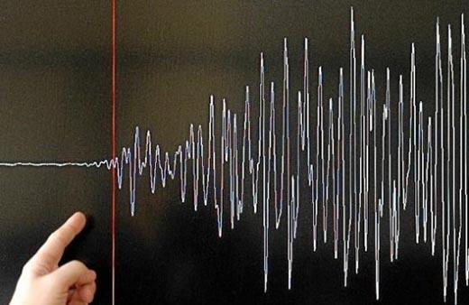 У побережья Папуа-Новой Гвинеи произошло землетрясение