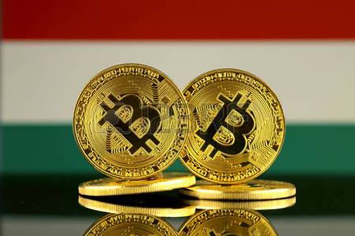 Венгры предложили свою криптовалюту