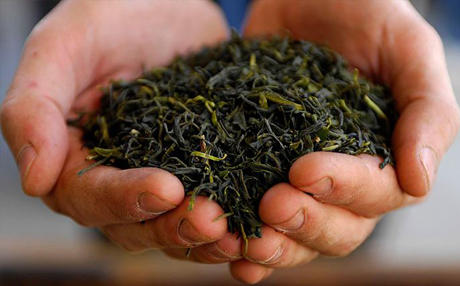 Объемы экспорта российского чая будут восстановлены за счет азербайджанского рынка
