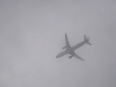 Самолет рейса Ереван-Саратов совершил экстренную посадку в Москве