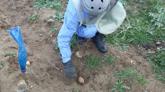 В Горанбое  обнаружена ручная граната