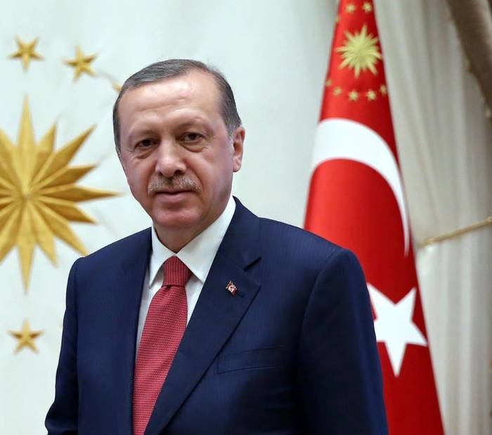Эрдоган о досрочных выборах в Турции 
