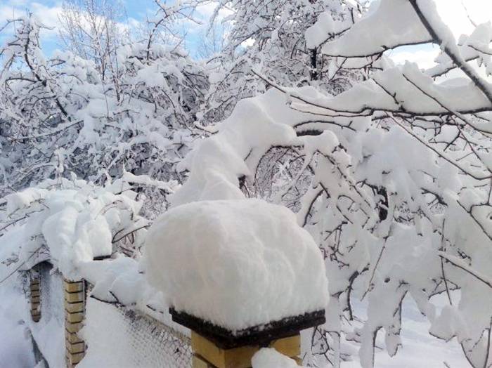 Высота снежного покрова на горных территориях Азербайджана достигла 12 см