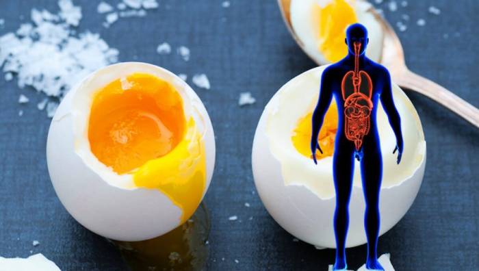 Вся правда про влияние яиц на здоровье человека - ВИДЕО 