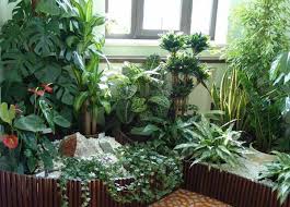 Ученые назвали пользу комнатных растений
