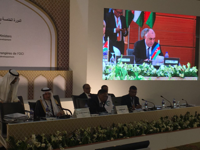 Эльмар Мамедъяров: Резолюции ООН и ОИС должны стать главным мессиджем для мусульманских стран - ФОТО