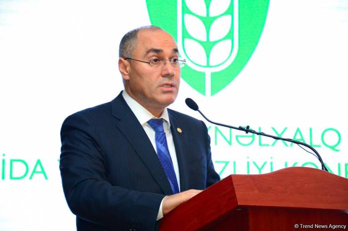 Сафар Мехтиев: Азербайджан применит принцип "единого окна" 