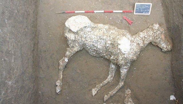 Археологи нашли в Помпеях древнеримские конюшни и "мумию" лошади