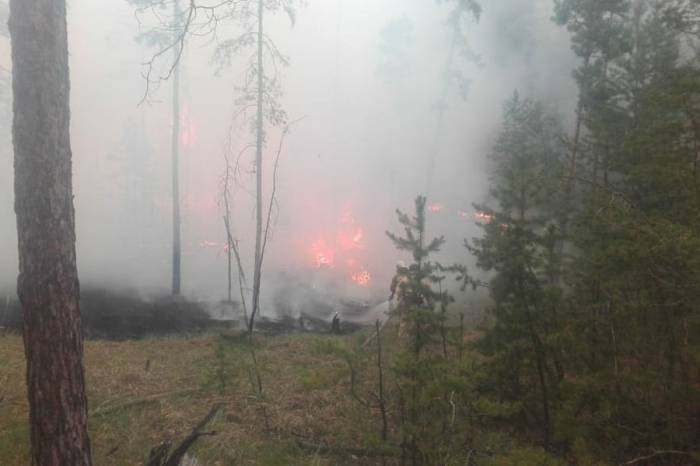 Площадь лесного пожара в Казахстане увеличилась