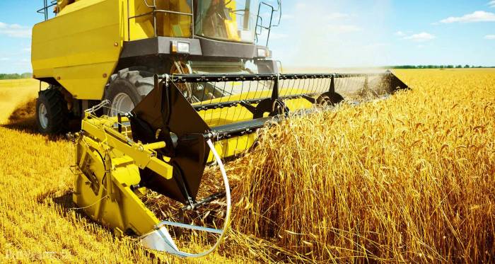 Казахстан экспортировал рекордное количество пшеницы