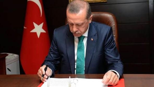Эрдоган снизил дорожные штрафы
