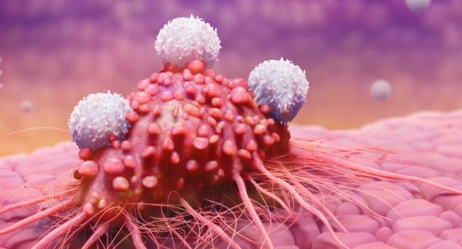 Ученые нашли простой способ профилактики рака
