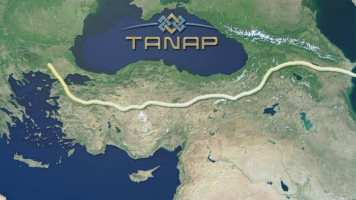 Поставки природного газа по TANAP достигнут 1 млрд кубометров к концу года
