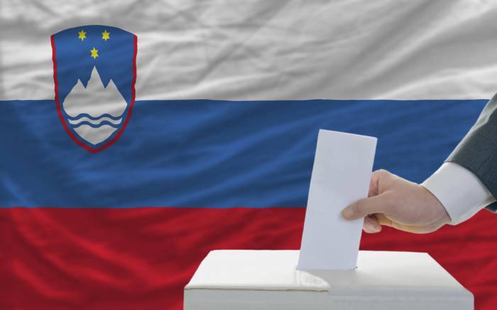 В Словении началось голосование на выборах в парламент
