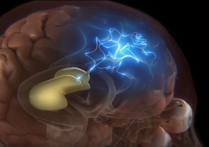 Ученые обнаружили в организме человека еще один "сам себе мозг"
