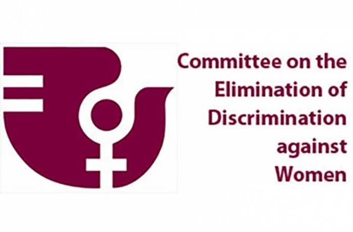 Эльгюн Сафаров избран в Комитет ООН по ликвидации дискриминации в отношении женщин