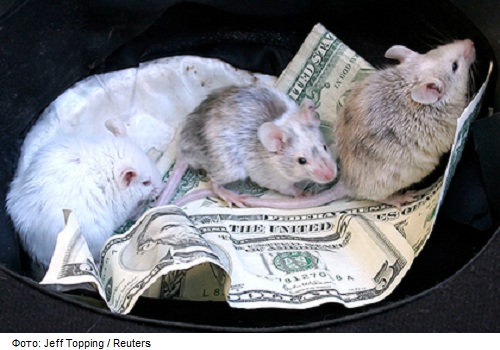 В Индии мыши сгрызли банкноты в банкомате

