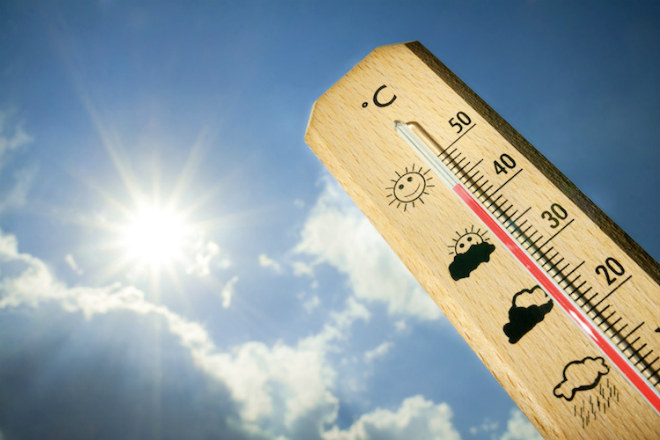 В Канаде возросло число погибших от жары 