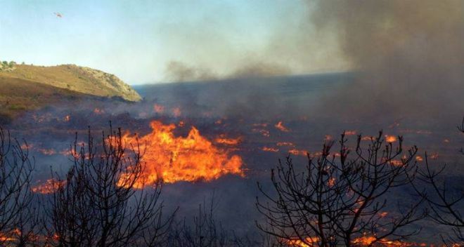 Евросоюз объявил траур по жертвам лесных пожаров в Греции