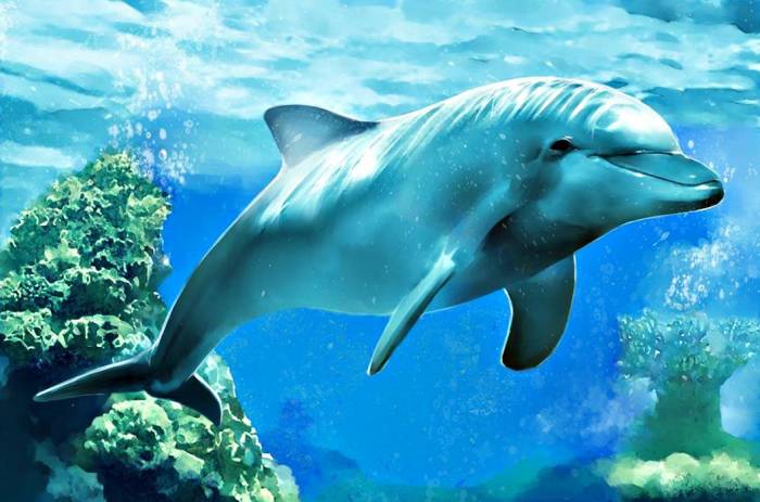Ученые нашли необычный гибрид двух видов дельфинов