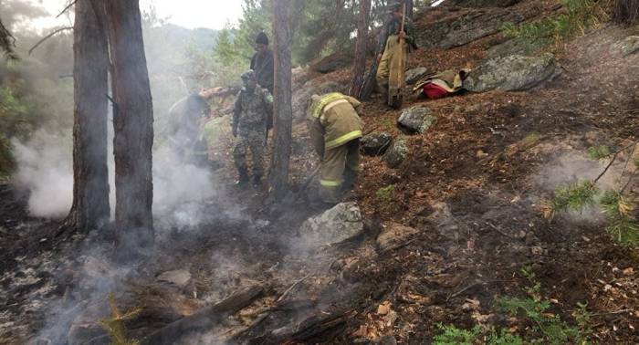 В Казахстане гроза разожгла лесной пожар