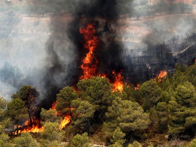 Лесныe пожары в Греции
