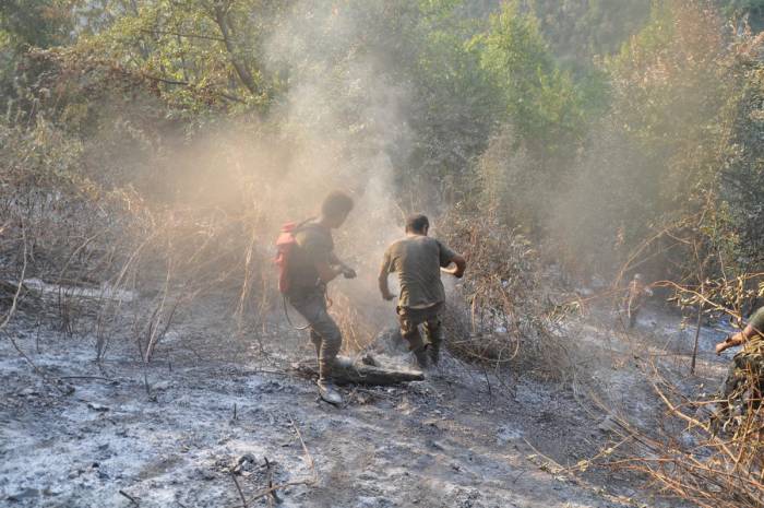 Пожар в Ярдымлинском районе Азербайджана локализован
