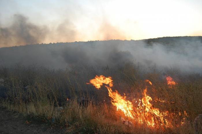 В горах Губинского района начался пожар
