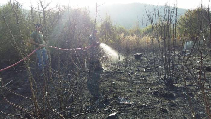 Лесной пожар в Шабране 