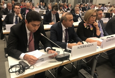 На заседании Общего комитета ПА ОБСЕ армянская делегация проявила полную беспомощность и растерянность