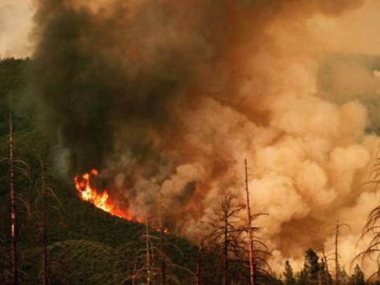 Лесные пожары в Шабране потушены