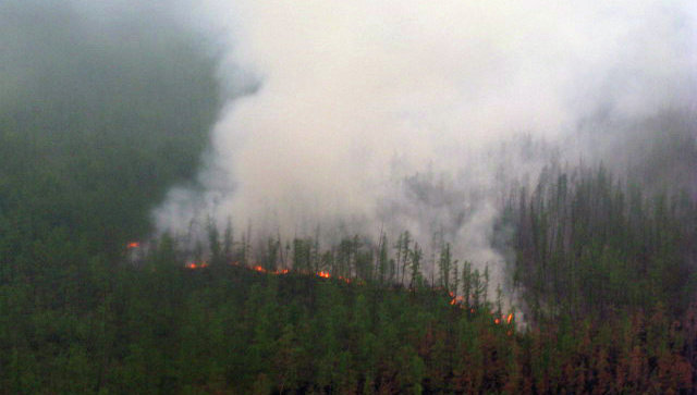 Врачи рассказали о самочувствии жителей района в Якутии, где горит лес
