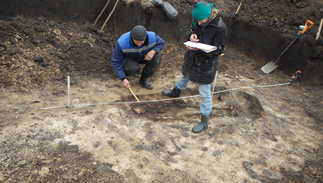 Легендарный археолог нашел еще одного "золотого человека" в Казахстане
