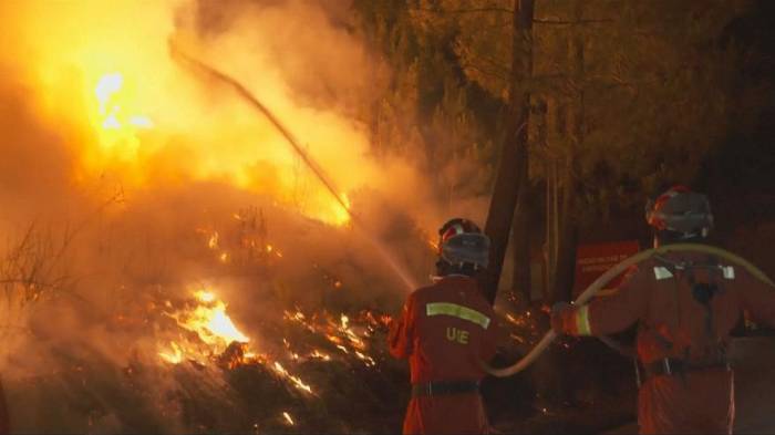 Euronews: Португалия в огне