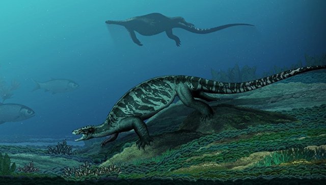Палеонтологи выяснили, как выглядел предок всех черепах
