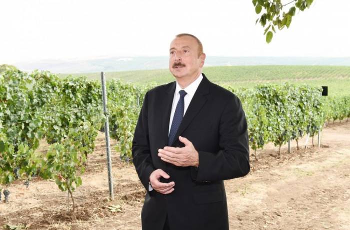 Ильхам Алиев: У виноградарства в Aзербайджане прекрасное будущее