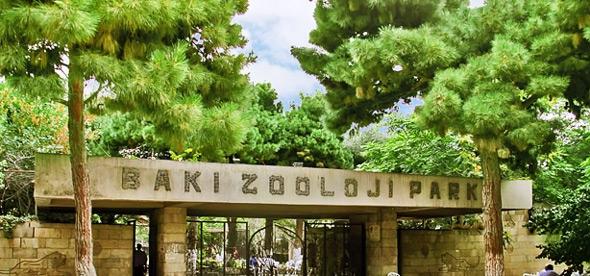 Бакинский зоопарк закрывается на ремонт
