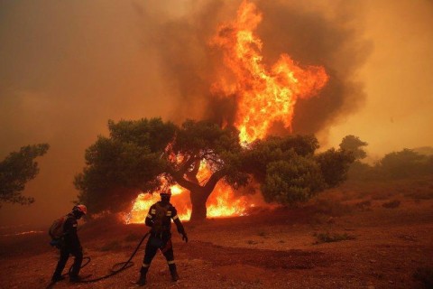 В Греции число жертв пожара выросло до 93 человек