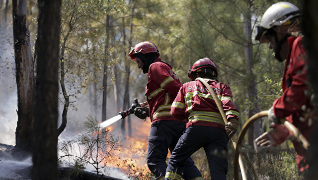 В Португалии начали расследование из-за лесных пожаров на юге страны
