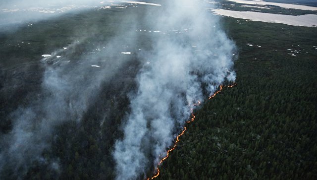 В канадской провинции из-за пожаров ввели режим ЧП