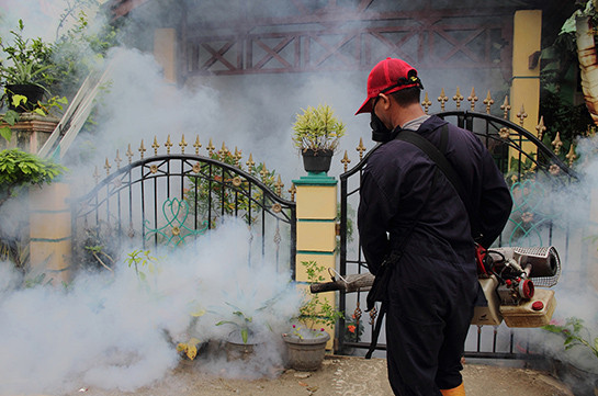 В Таиланде зафиксировано больше 50 тысяч случаев лихорадки Денге